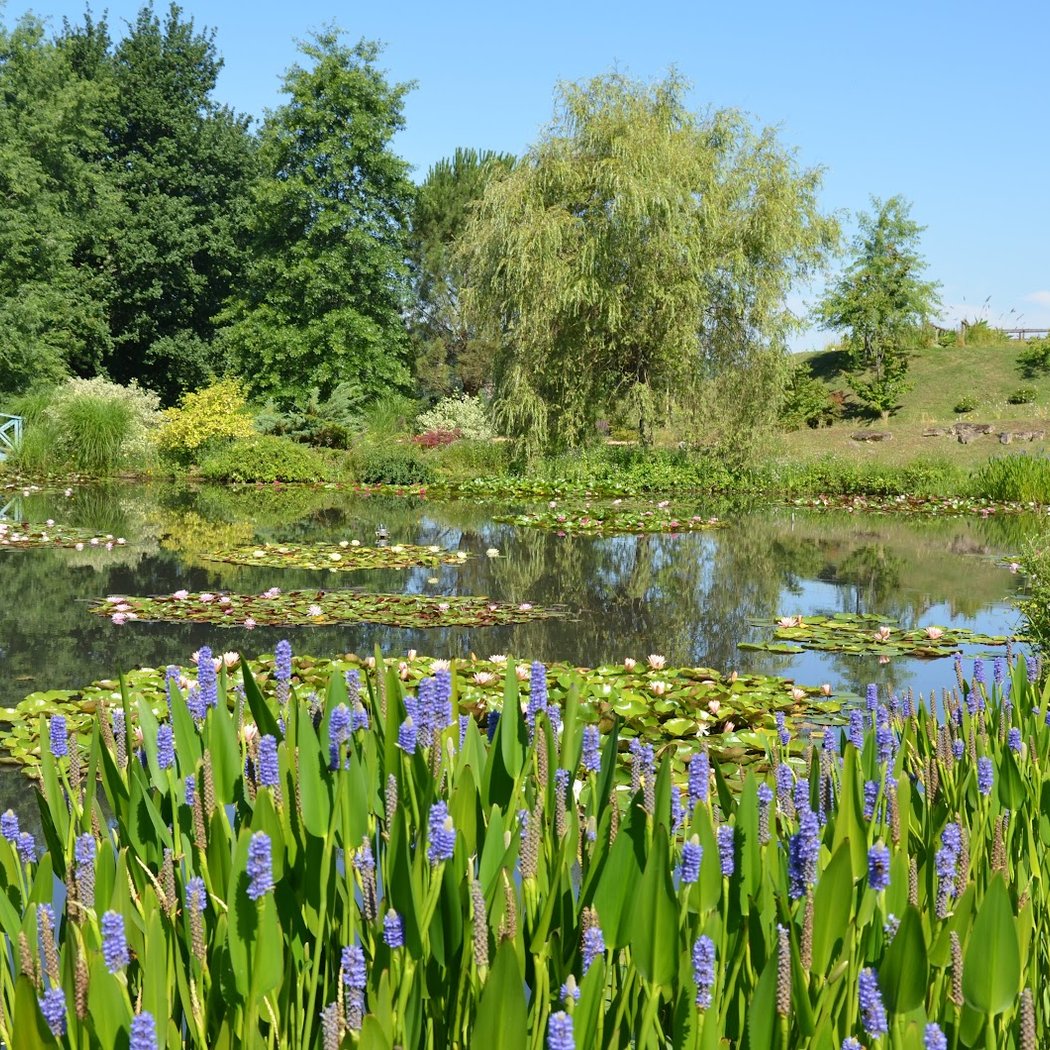 The Water Gardens of Carsac 2