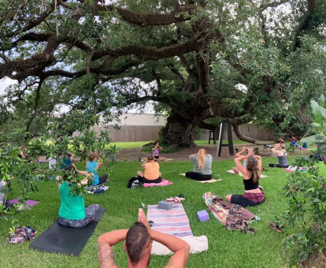 Yoga in the Park 2