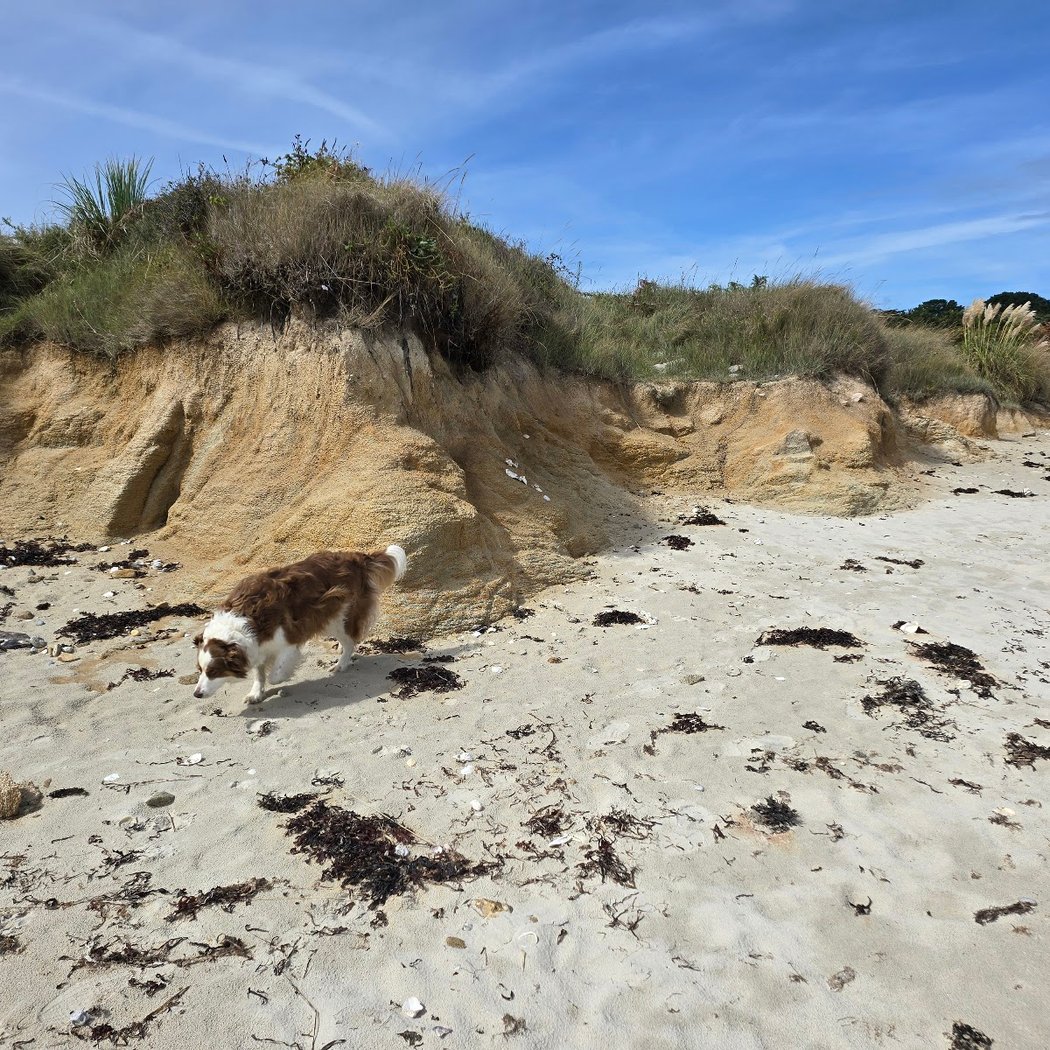 Lizeau's beach 1