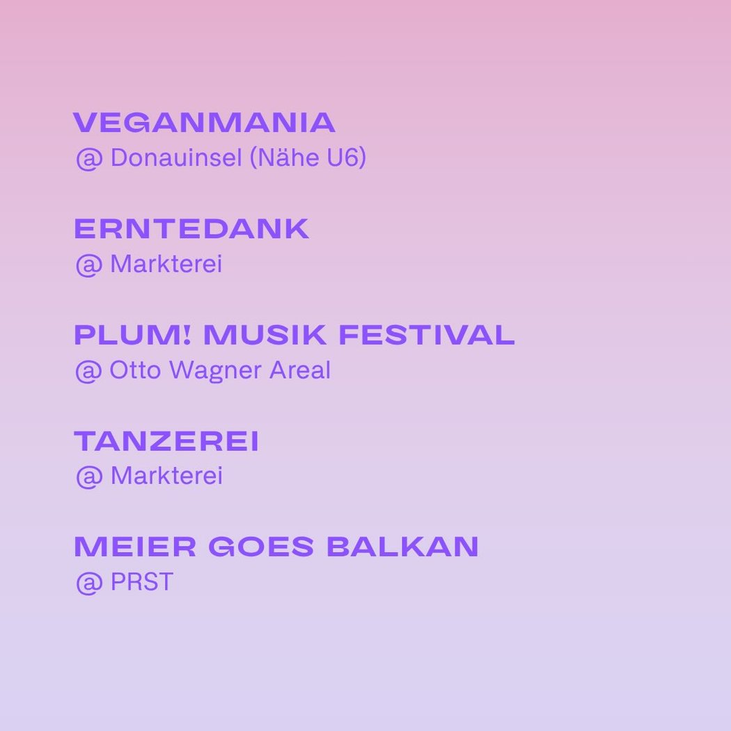 MEIER GOES BALKAN 3