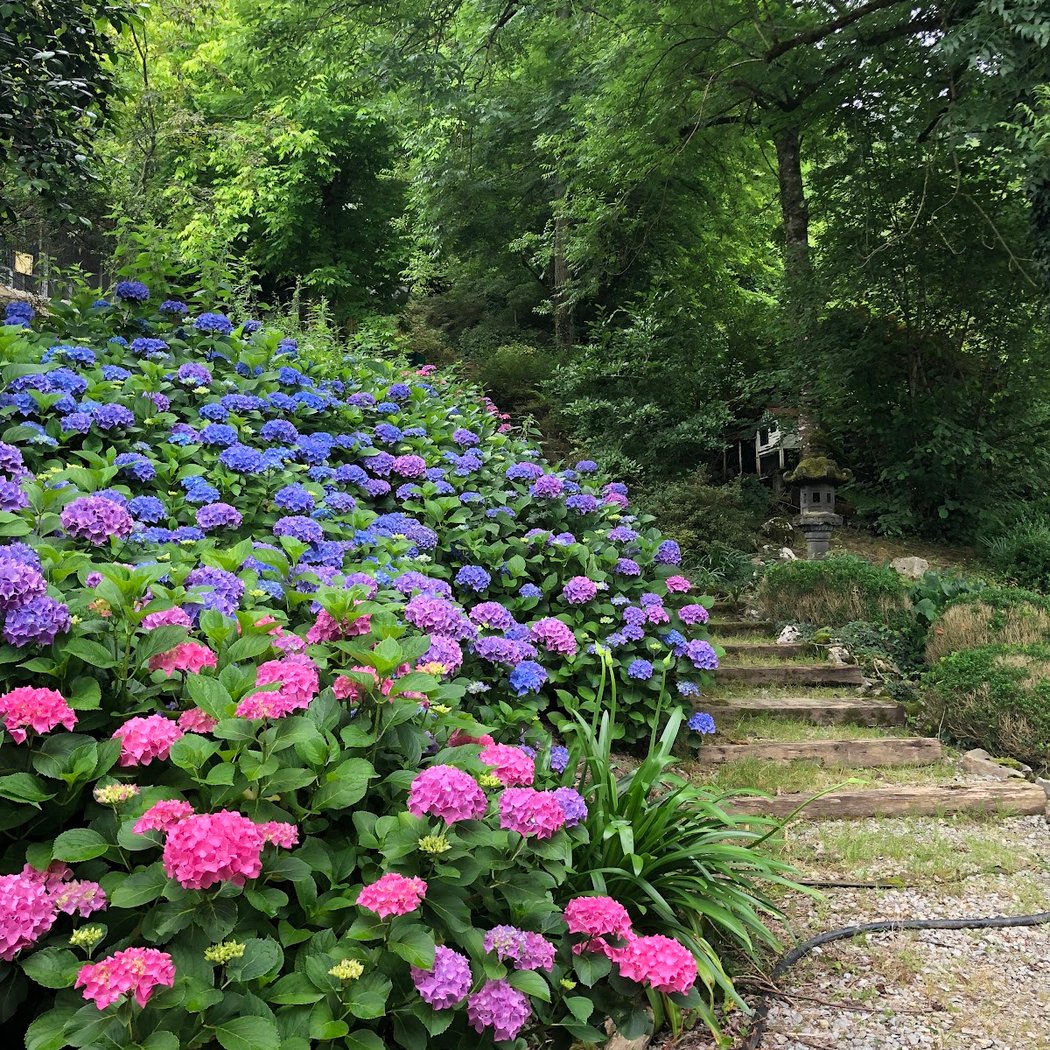 PARC FLORAL ET ANIMALIER OIHANARTEA 1