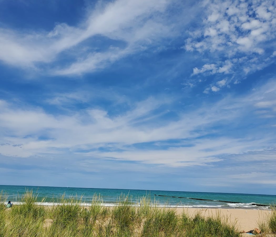 Loyola Beach Clean Up 1