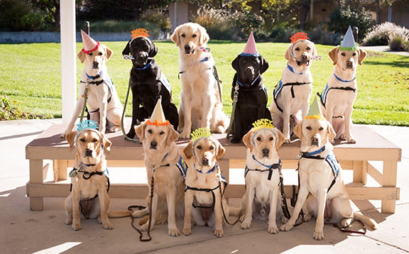Canine Companions Headquarters and Northwest Training Center 3