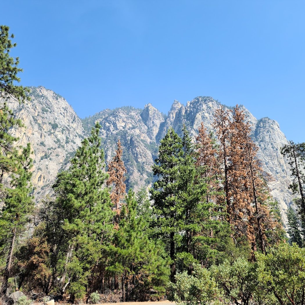 Kings Canyon National Park 3