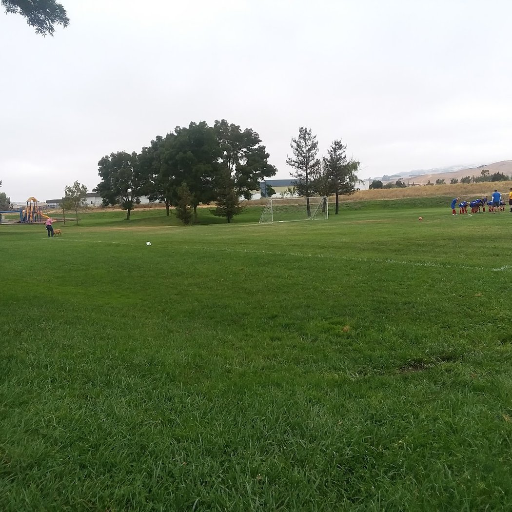 Wiseman Park 2