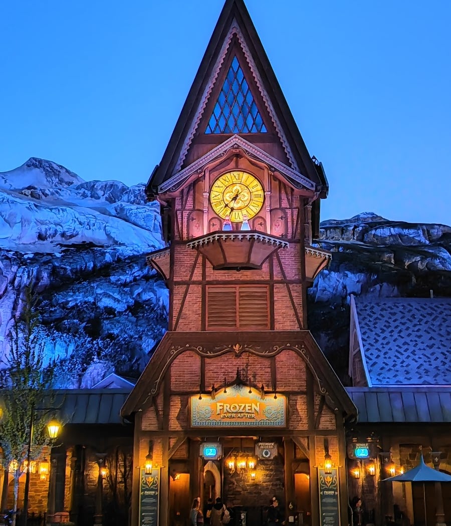 Frozen Ever After 3