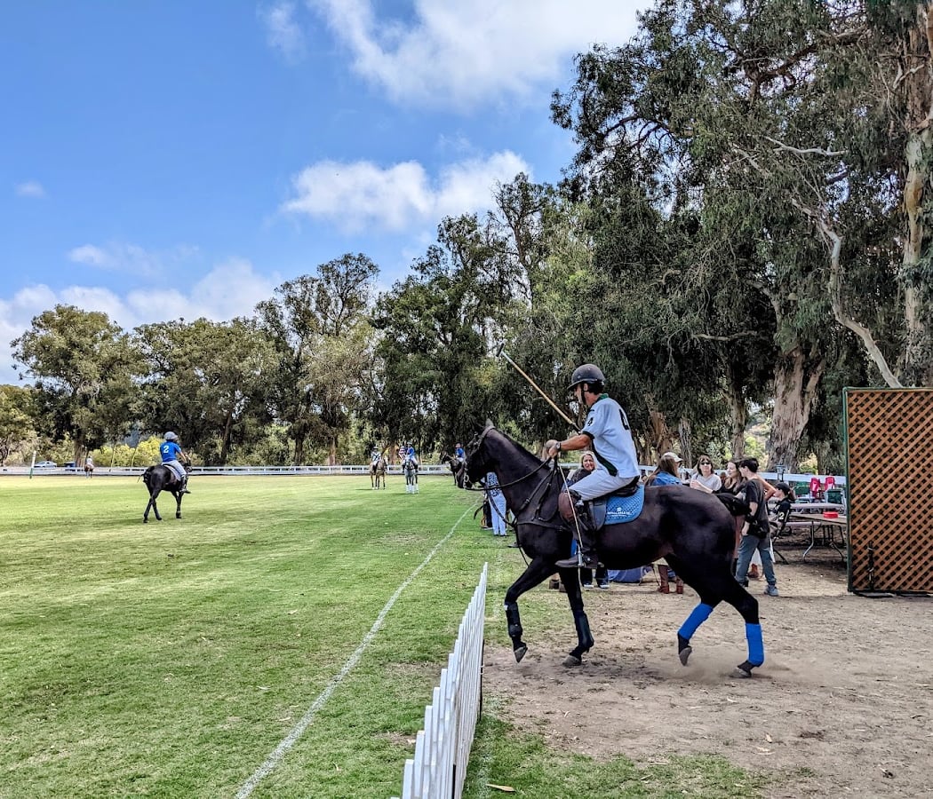 Sips and Saddles Rose Event 1