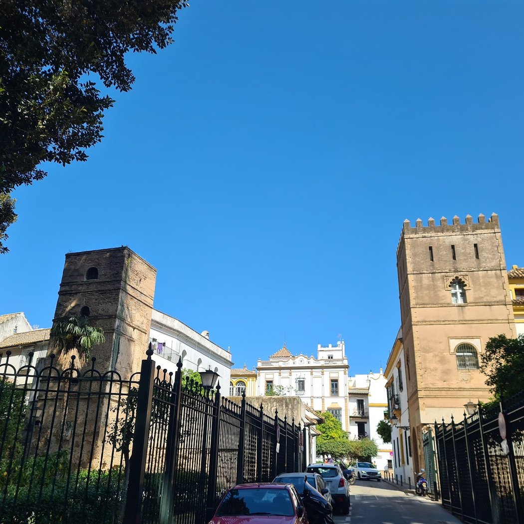 Muralla Almohade 2