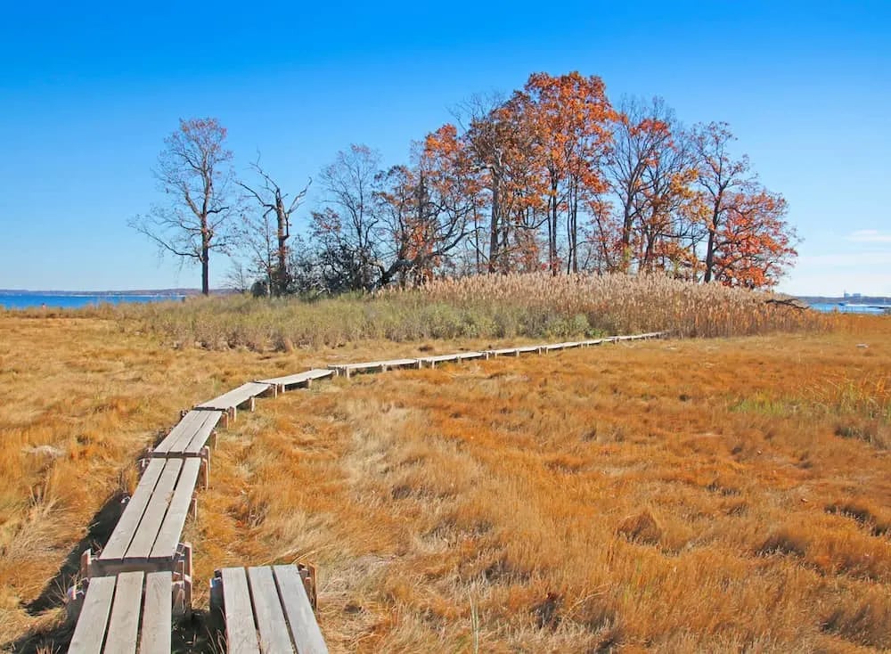 Pelham Bay Park 3