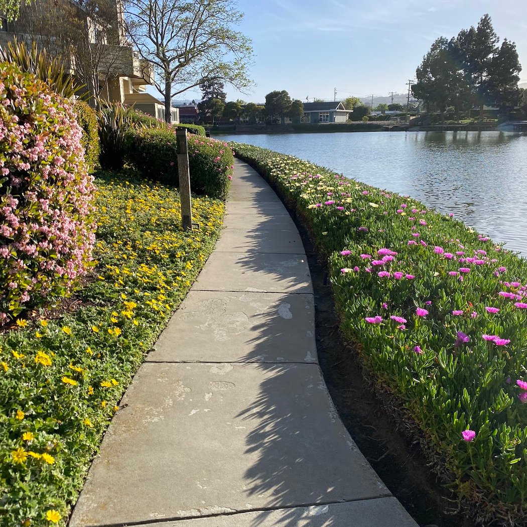 Levee Pedway 1
