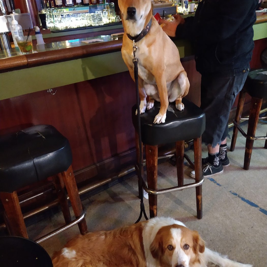 Rush Inn 1