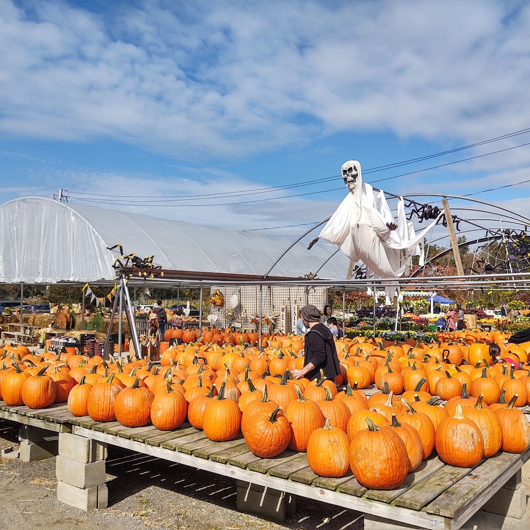 Secor Farms 2