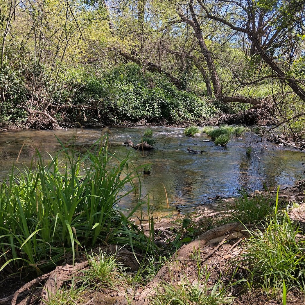 4th & Farmers Creek Trail 3