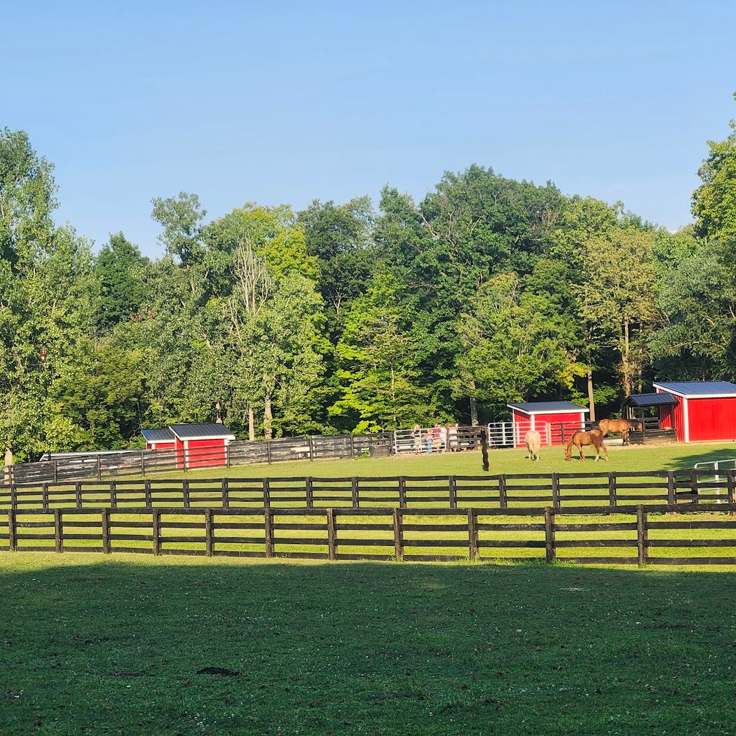 Abraham Ranch Derby Party 2