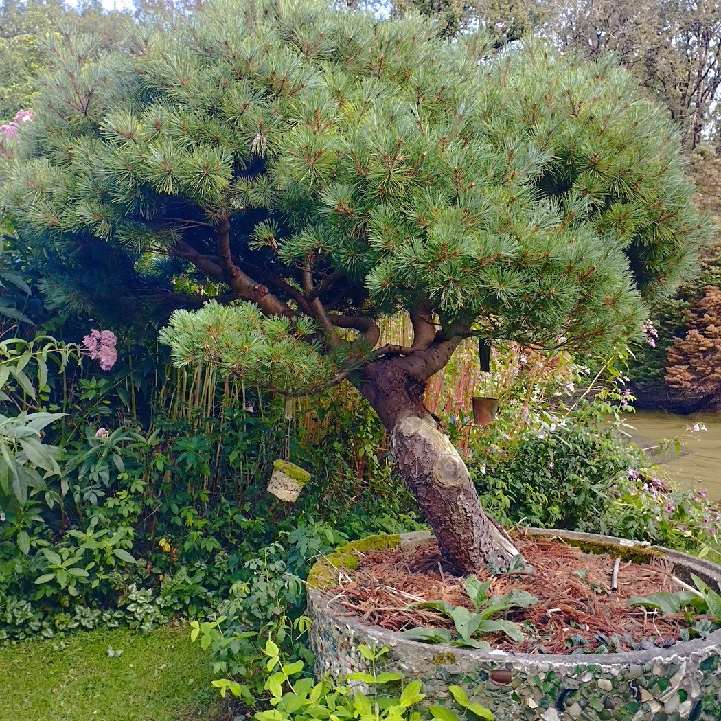 les jardins du marais 3