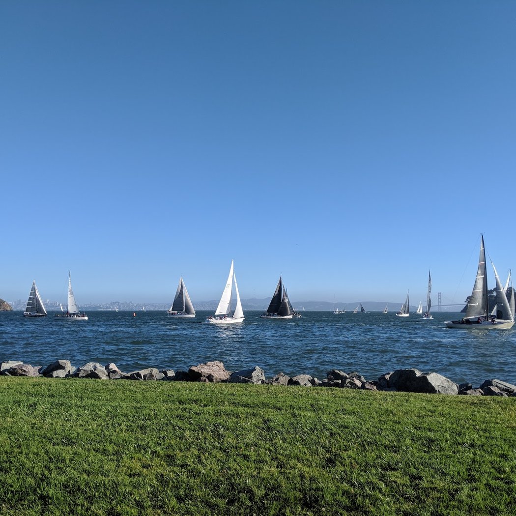 Shoreline Park 1
