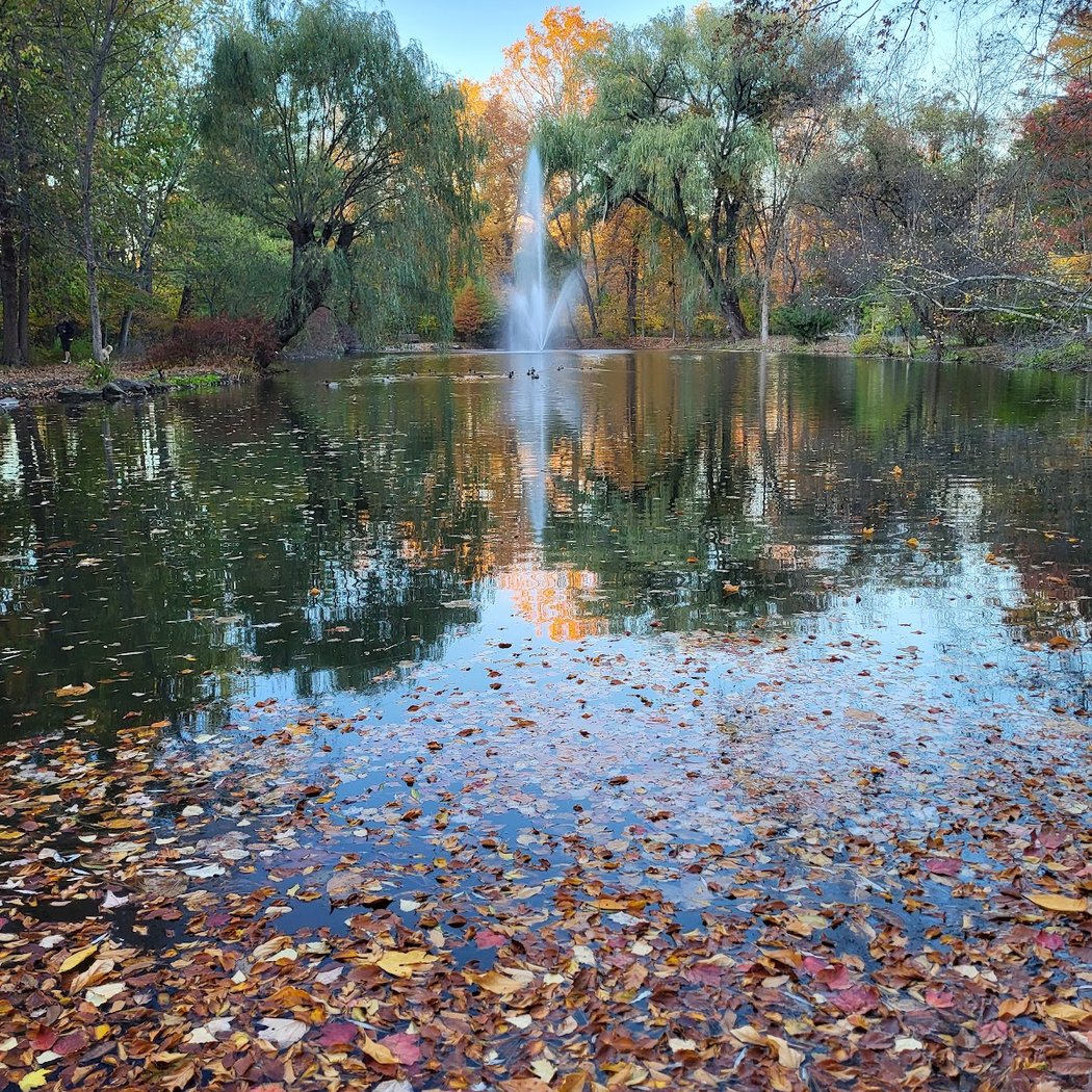 Thielke Arboretum 1