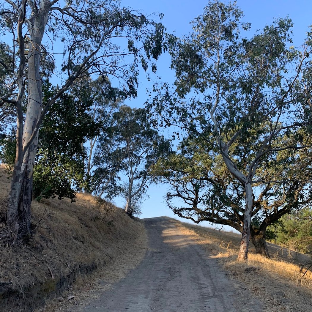 Acalanes Ridge Open Space Acalanes South Trail 2