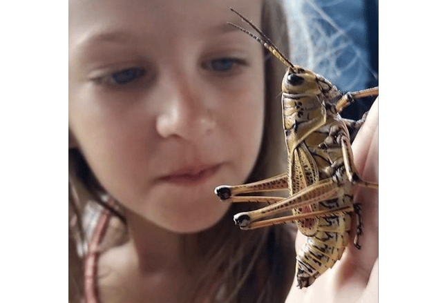 Bug Day 1