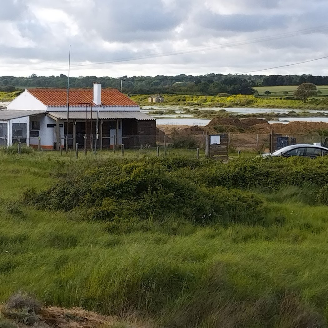 Camping Les Dunes 2