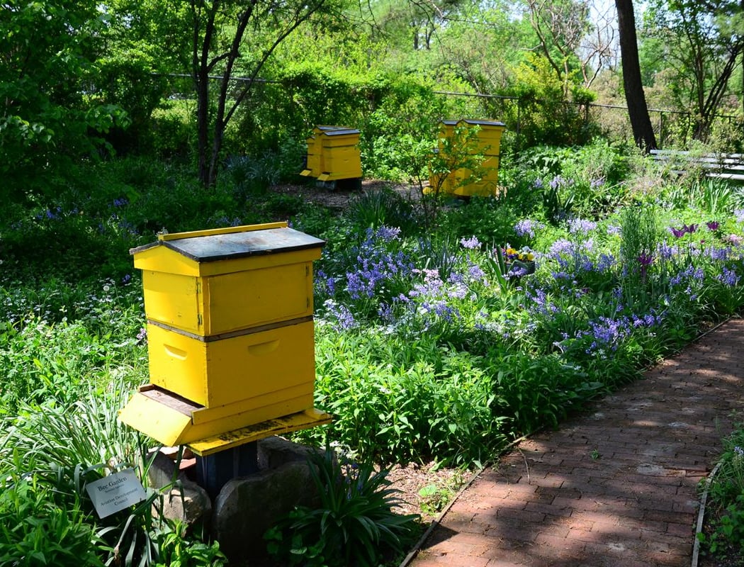 Queens Botanical Garden 4