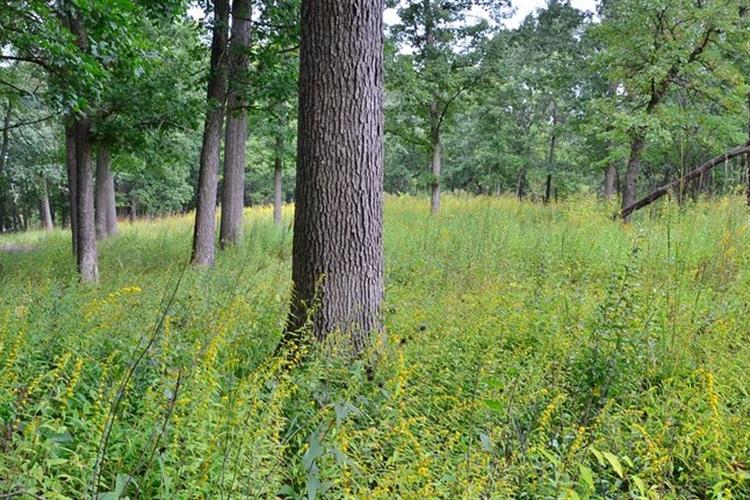 Furstenberg Nature Area 2