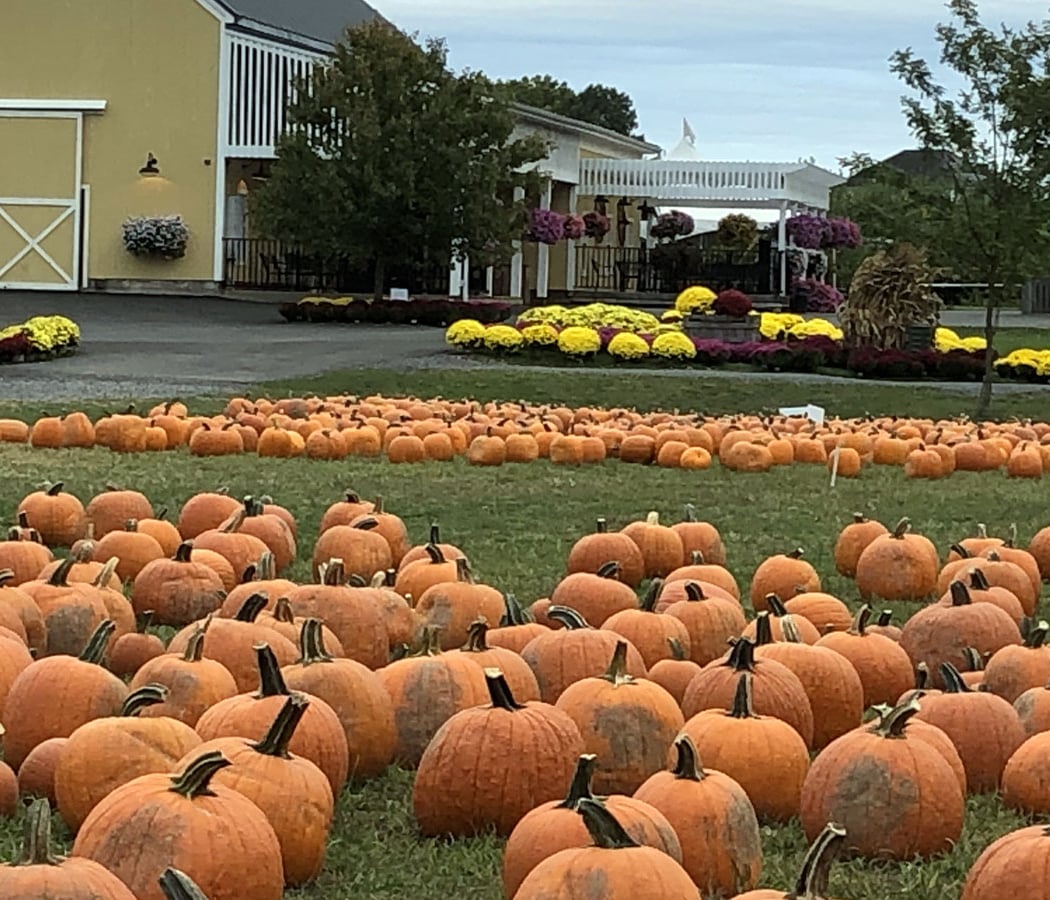 DuBois Farms 2