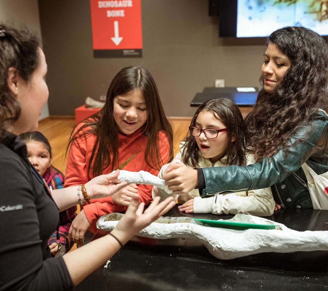Meet a Scientist: Diversity of Amphibians