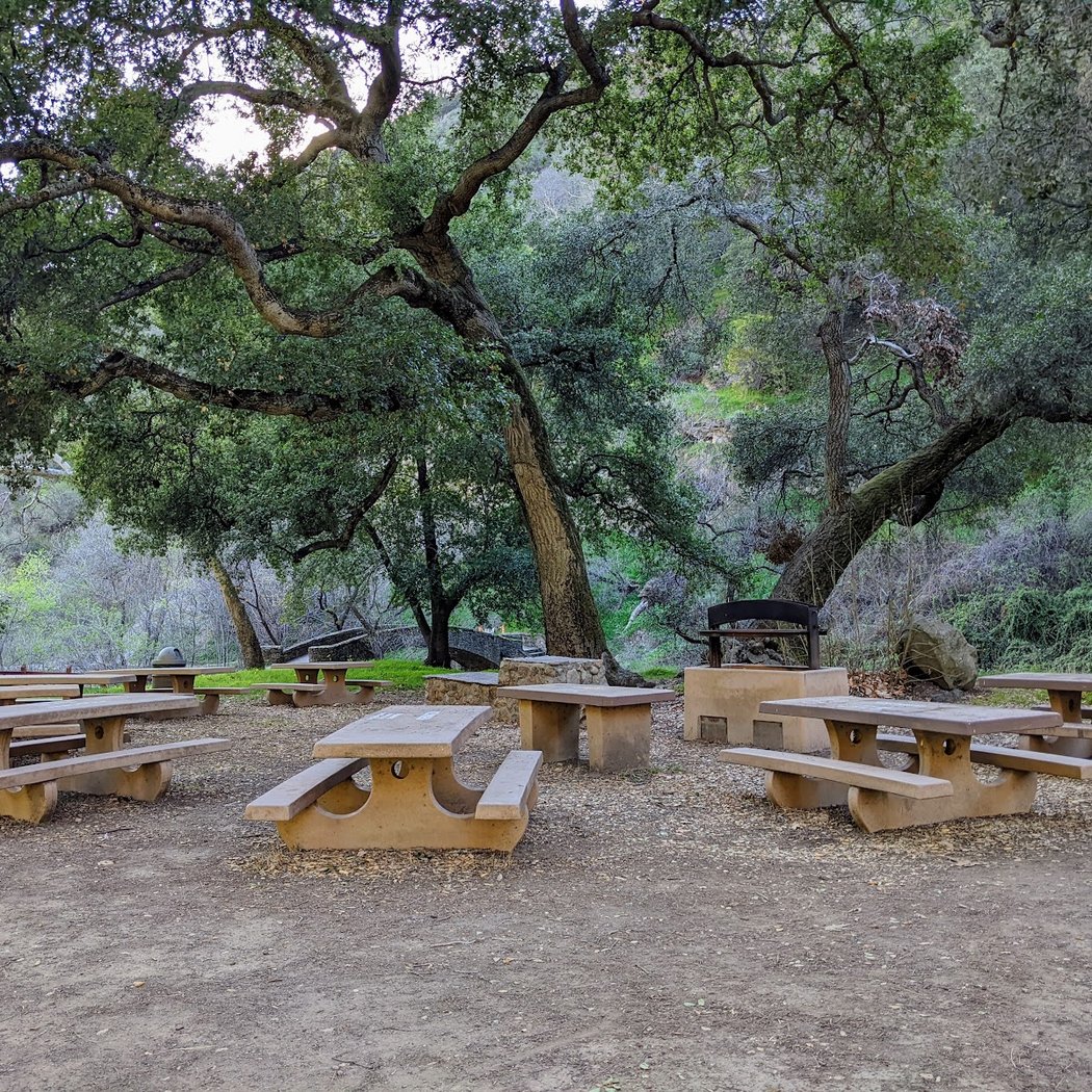 Bioblitz: Alum Rock Park 3