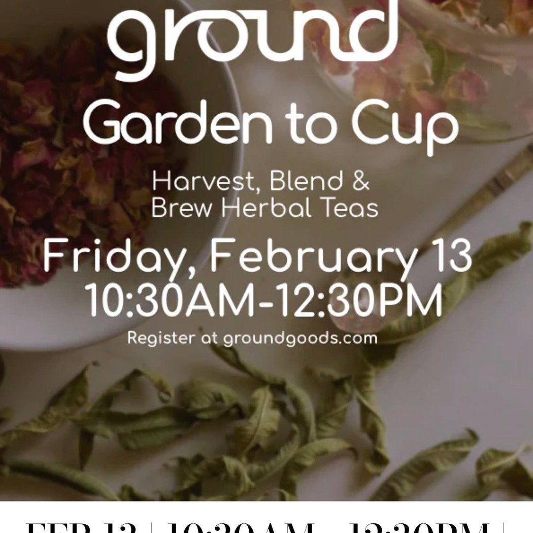 Ground: Garden to Cup 1