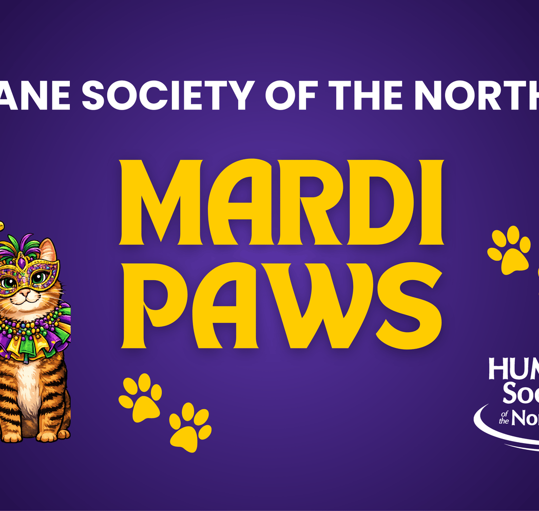 Mardi Paws 1