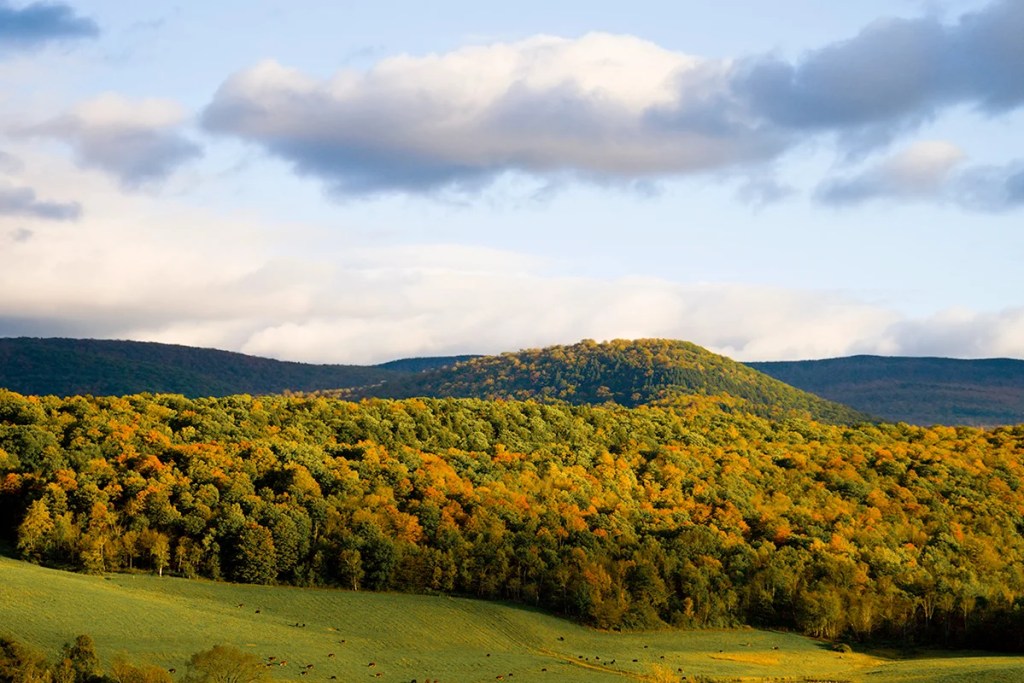 The Berkshires 1