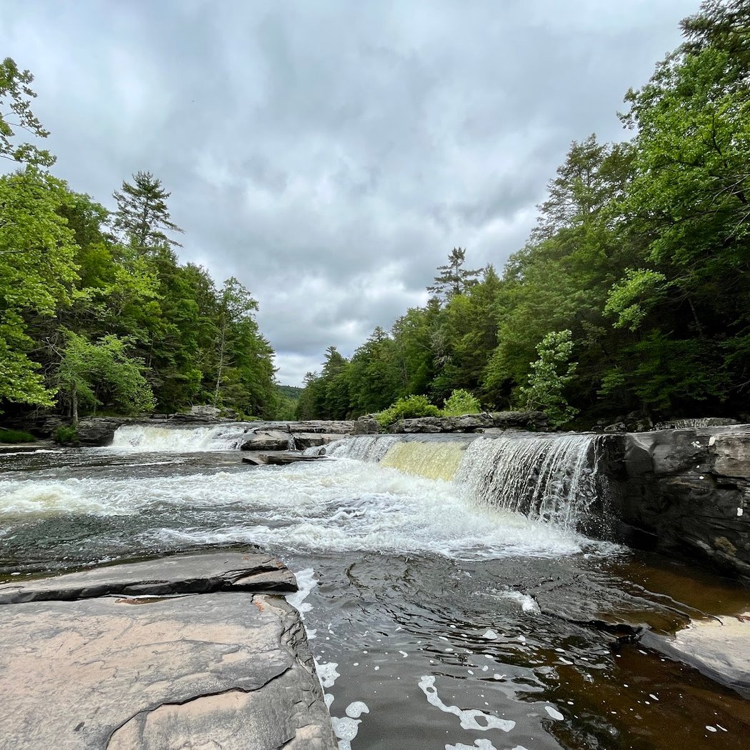 Neversink River Unique Area 3