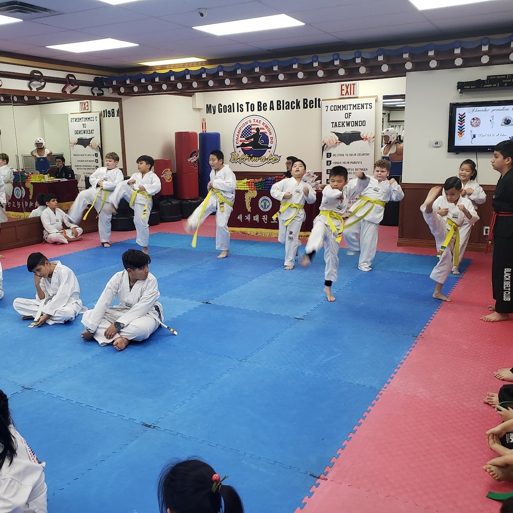 Champions Martial Arts College Point 2