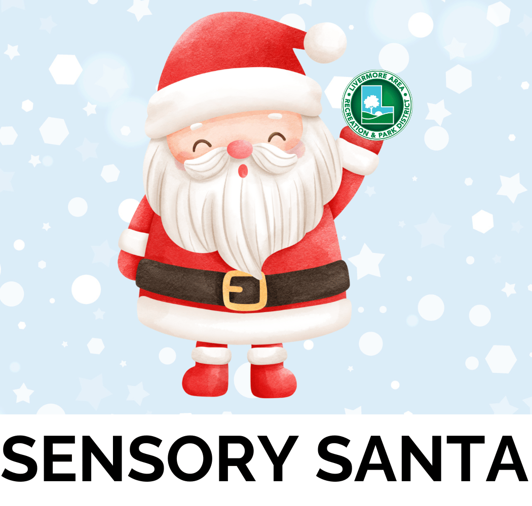 Sensory Santa 1
