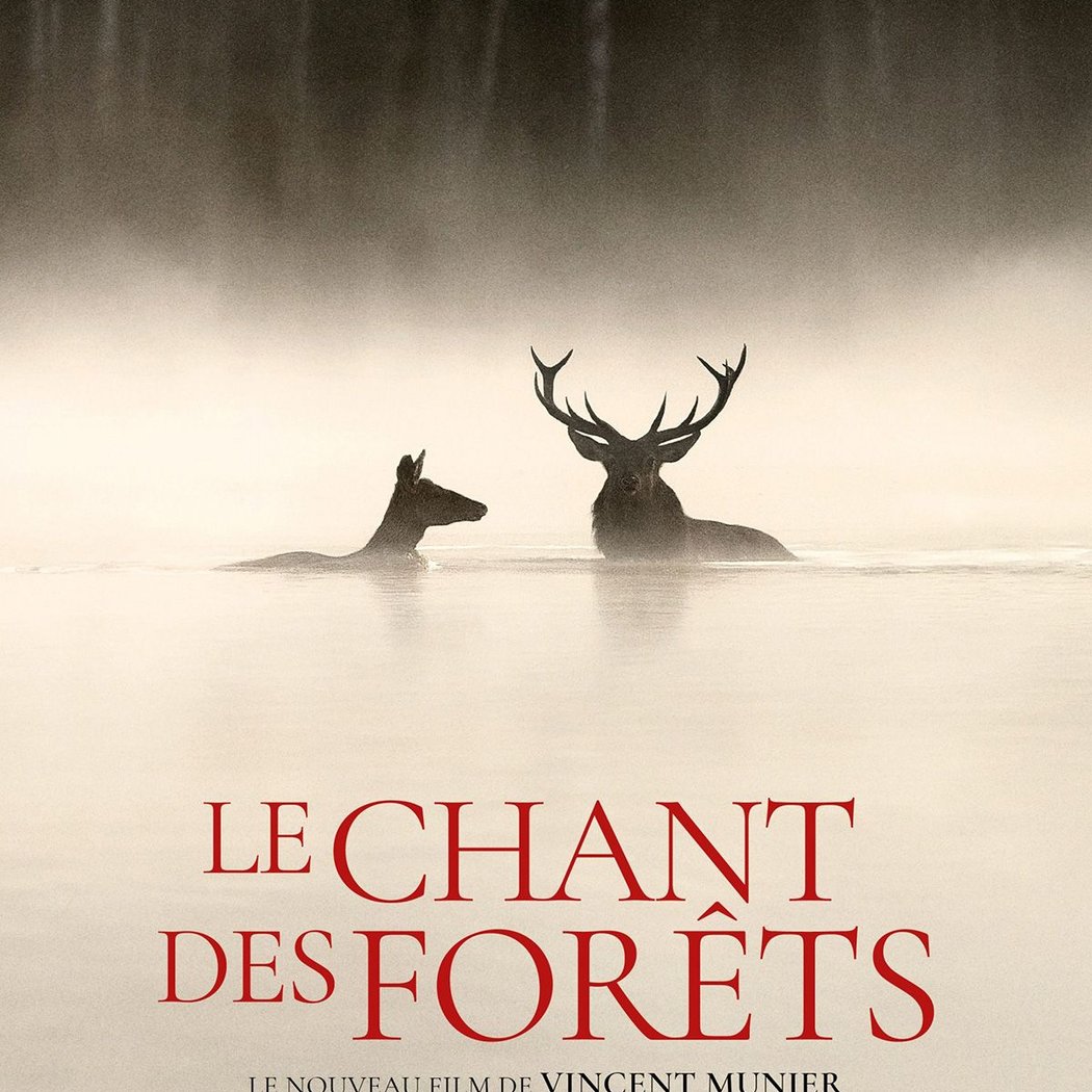 Le Chant des forêts 1
