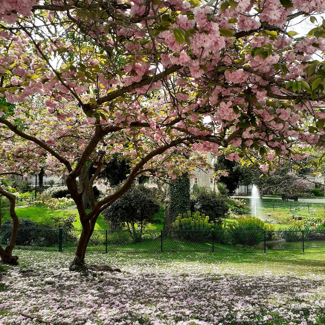 Parc des Anciennes Mairies 1