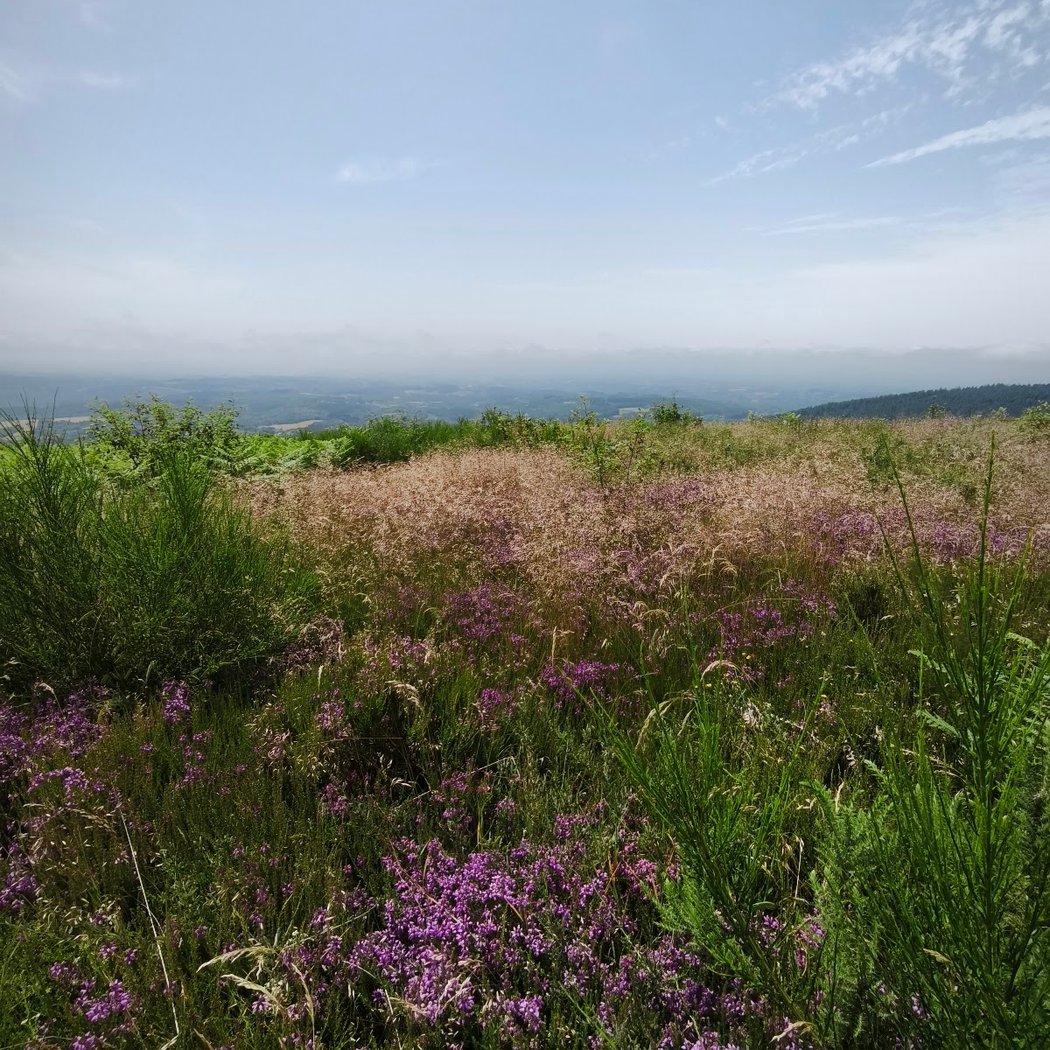 Massif des Monédières 3