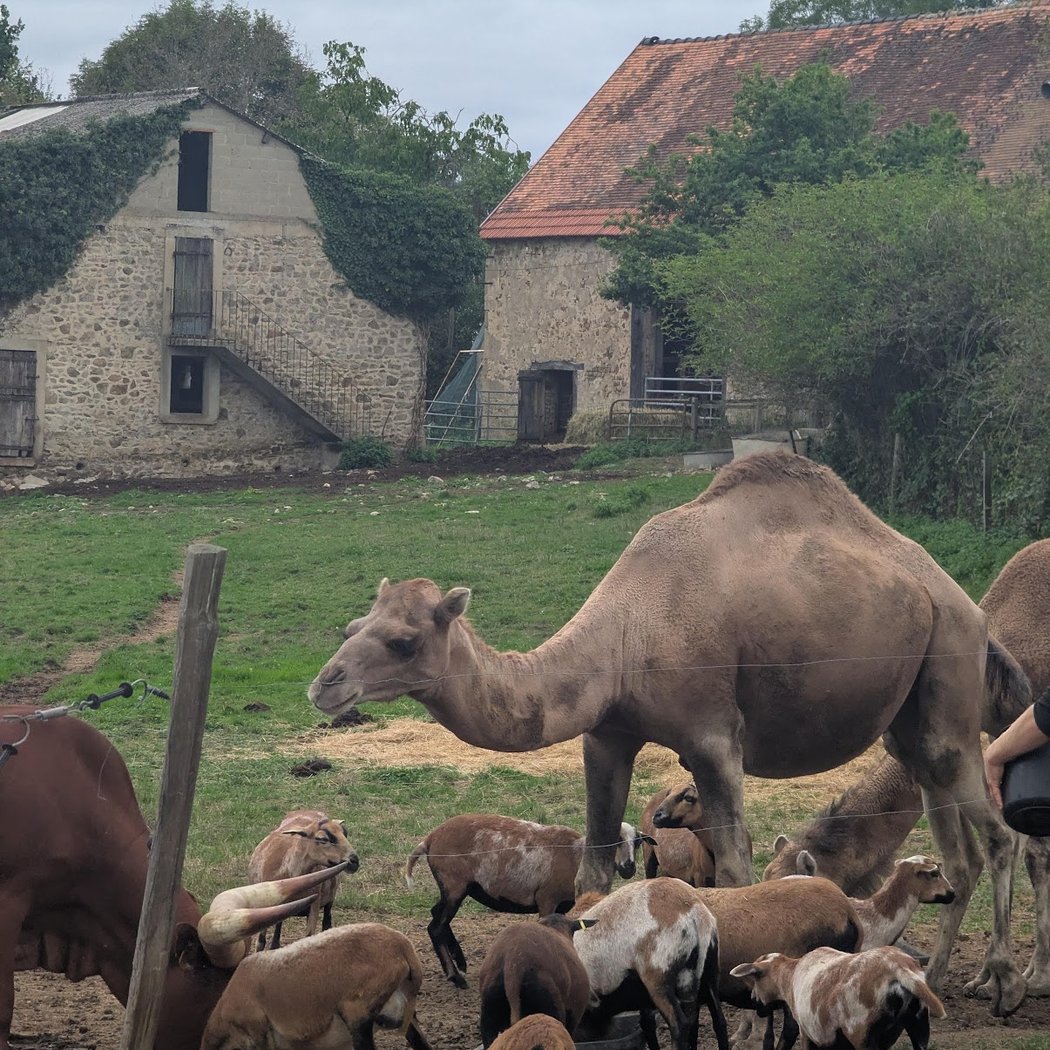 La ferme des claustres 2