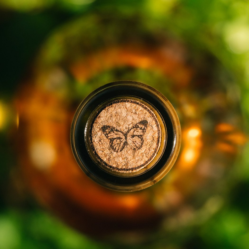 Earth Day Silent Disco Yoga with Carla and RAEN Winery 3