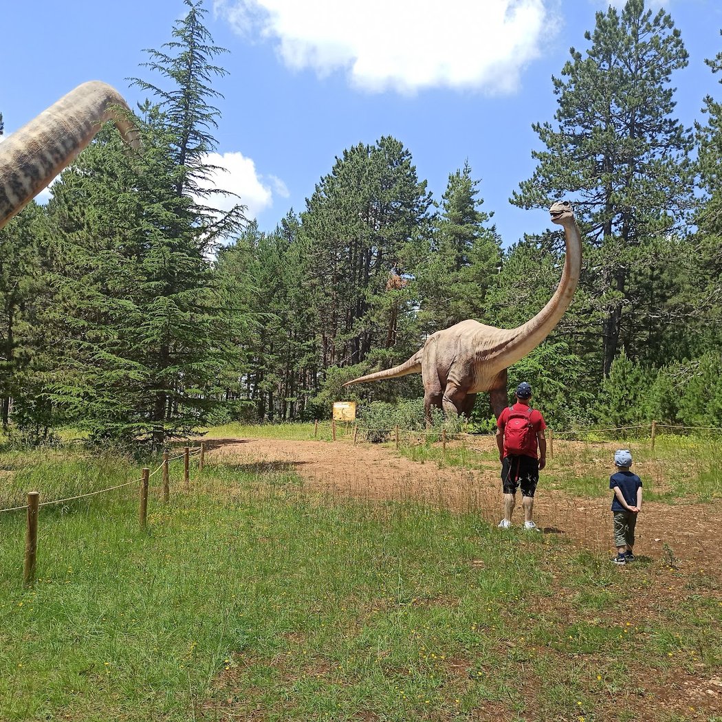 Dinopedia Parc Mende - Lozère 3