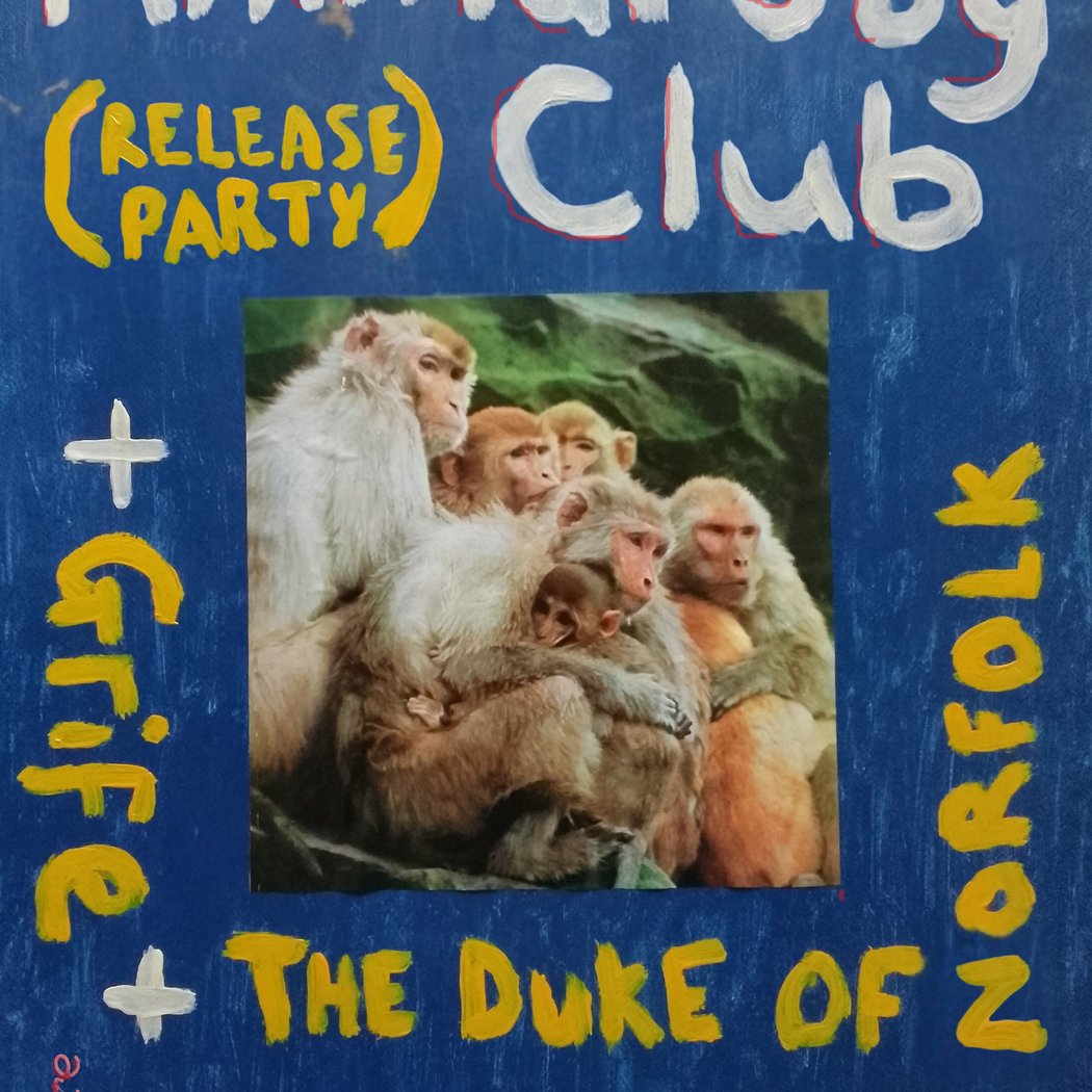 Animal Joy Club Release Party 1