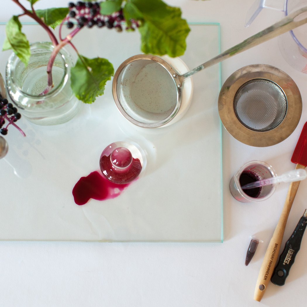 Foraging and Paint-Making Workshop 1