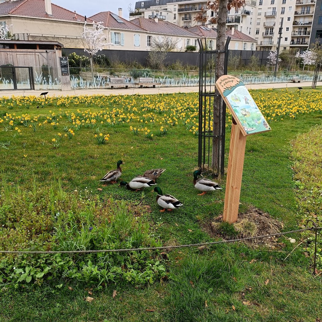 Le jardin Fertile 3