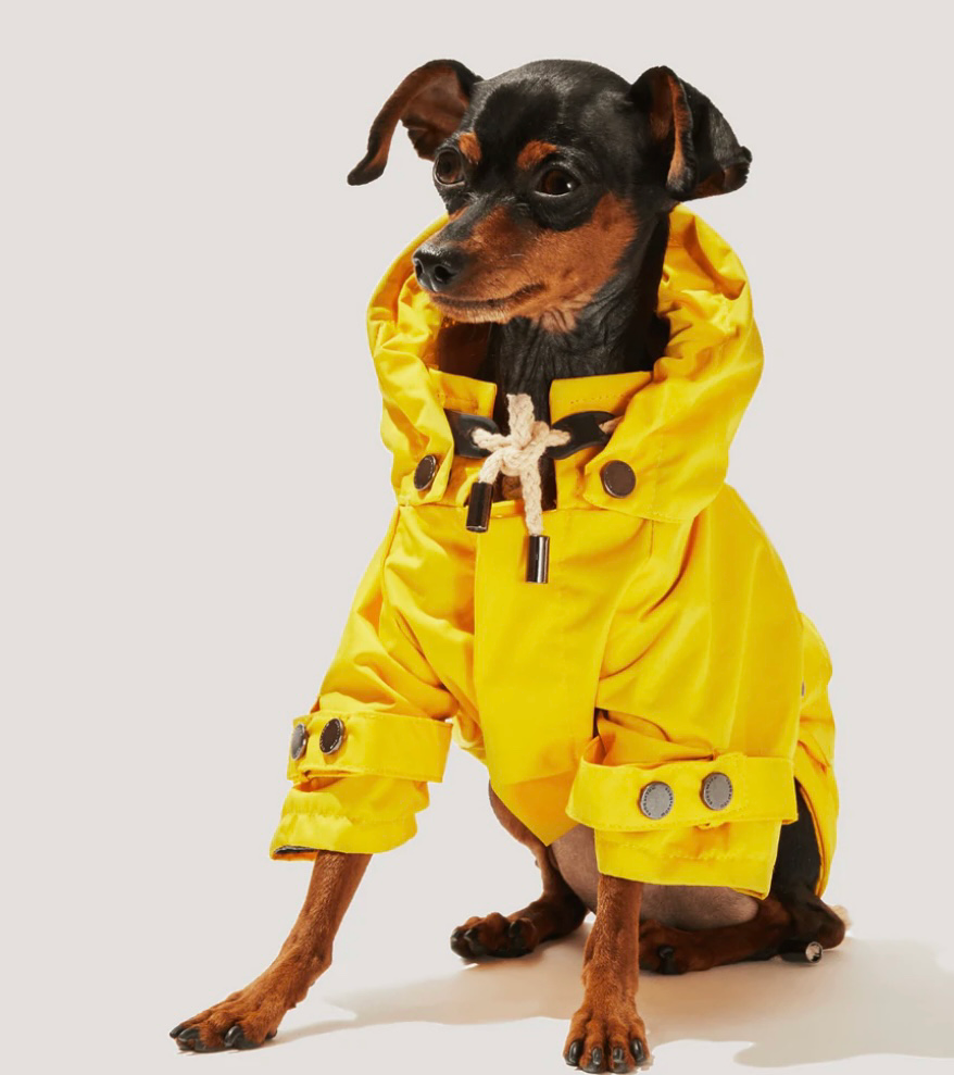 Le Chien Bleu NY pet boutique 1