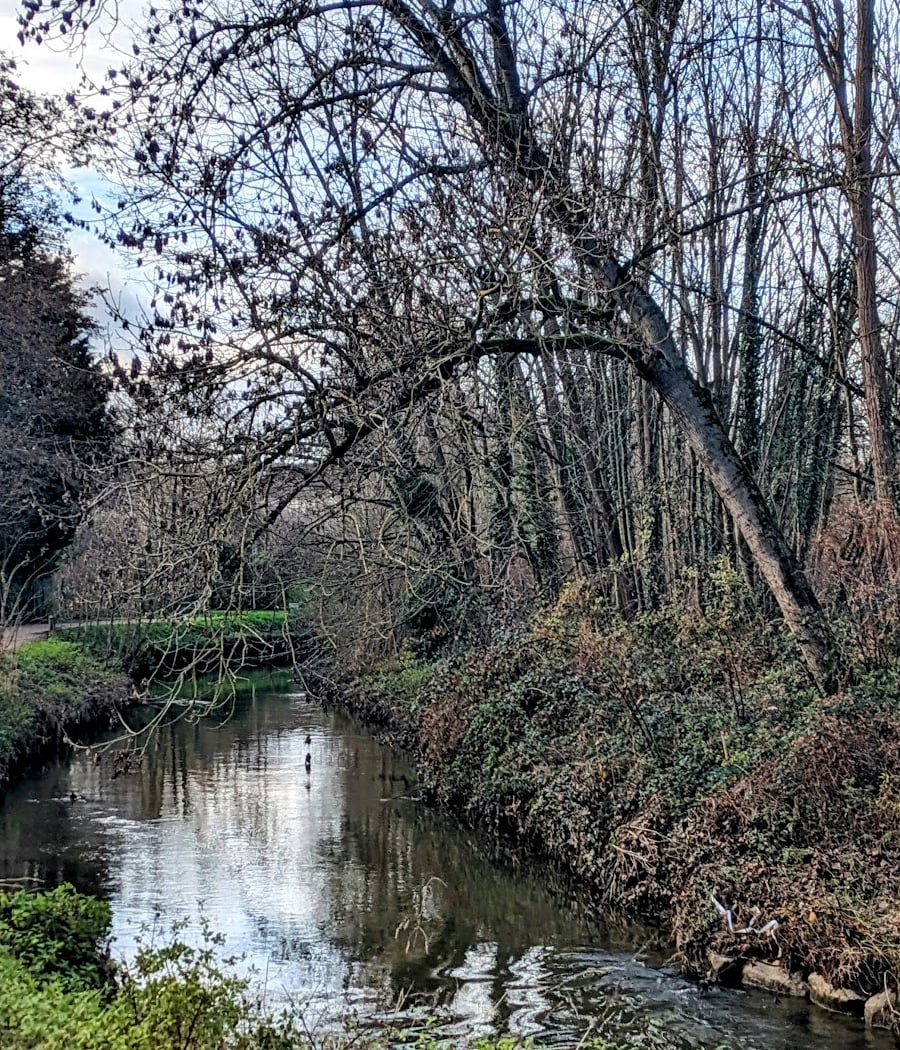 Promenade de l'Yvette 2