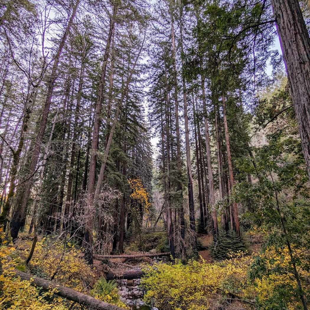 NVSP Saturday Guided EcoFitness Hikes 5