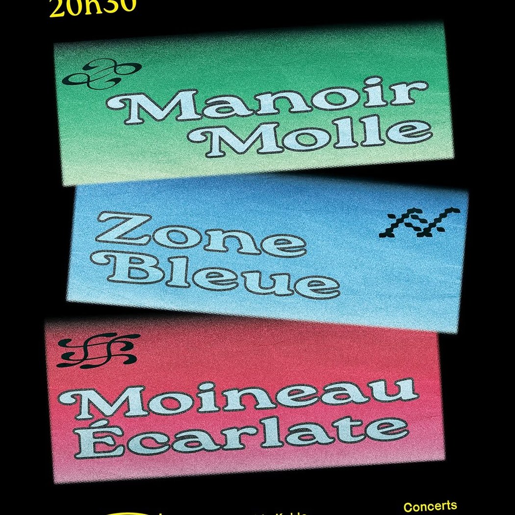 Manoir Molle Concert 1