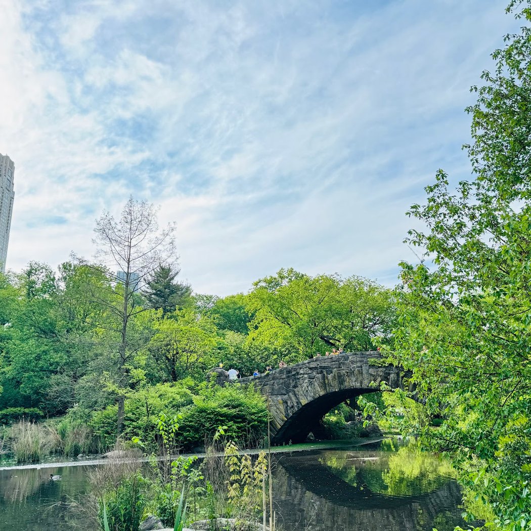 Central Park Tours: Bike, Pedicab & Rentals | Central Park NYC Tours 3