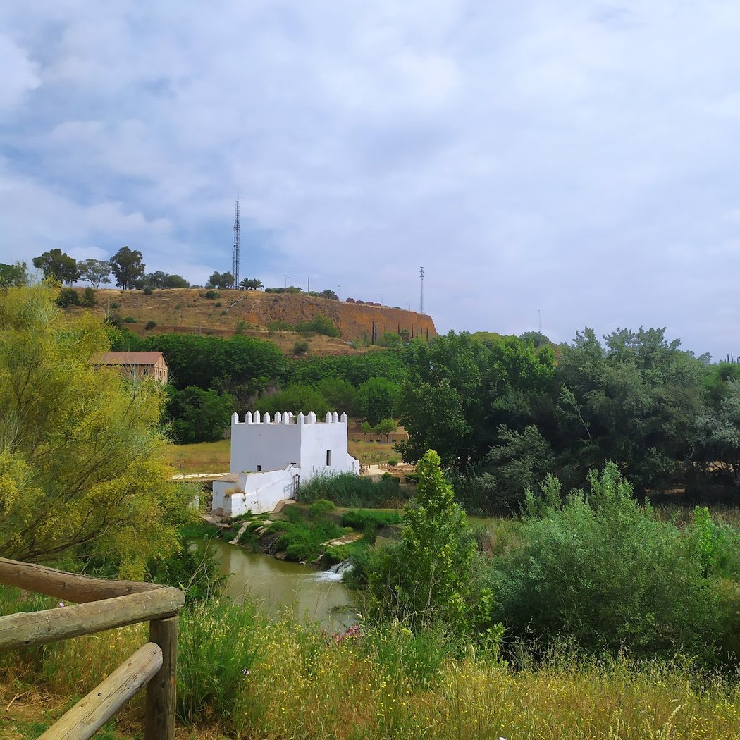 Ribera del rio Guadaira 1